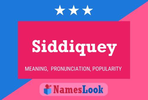 Постер имени Siddiquey