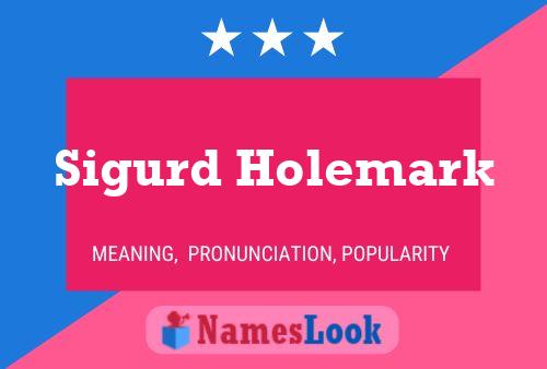 Постер имени Sigurd Holemark