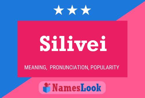 Постер имени Silivei