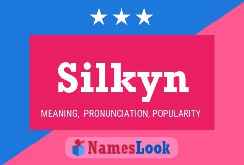 Постер имени Silkyn