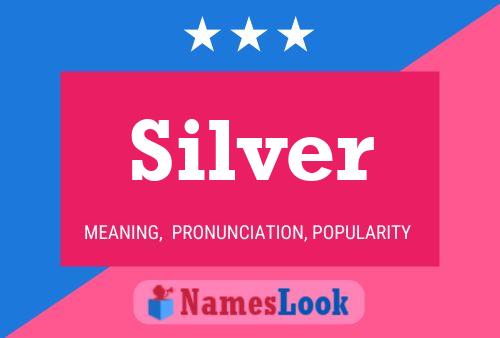 Постер имени Silver