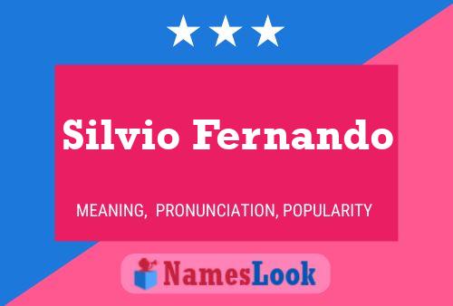 Постер имени Silvio Fernando