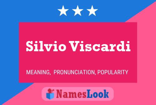 Постер имени Silvio Viscardi