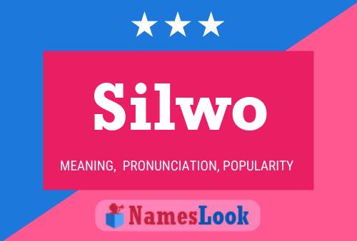 Постер имени Silwo