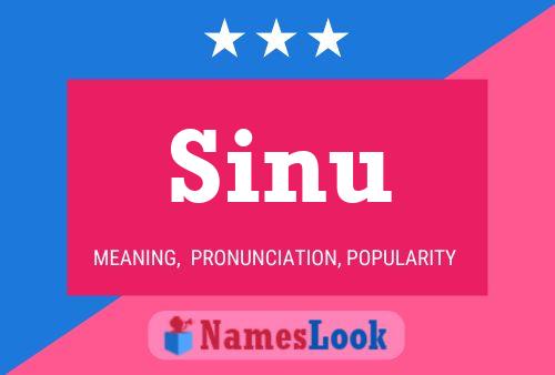 Постер имени Sinu