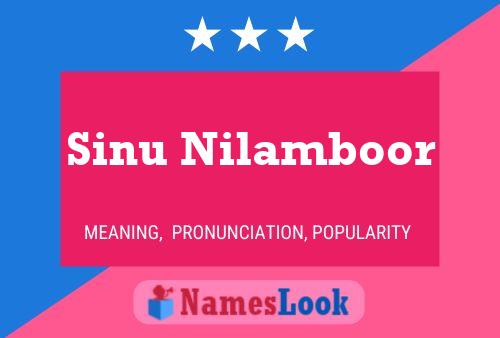 Постер имени Sinu Nilamboor