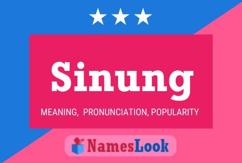 Постер имени Sinung