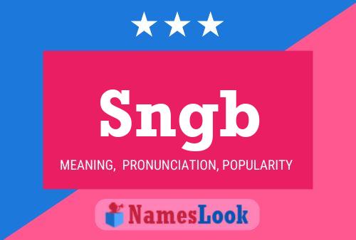 Постер имени Sngb