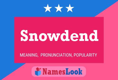 Постер имени Snowdend