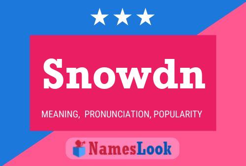 Постер имени Snowdn