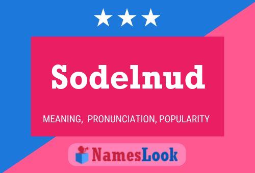 Постер имени Sodelnud