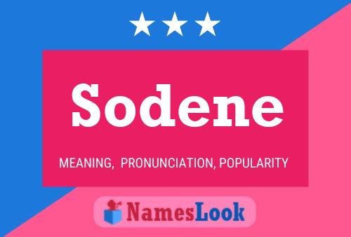 Постер имени Sodene