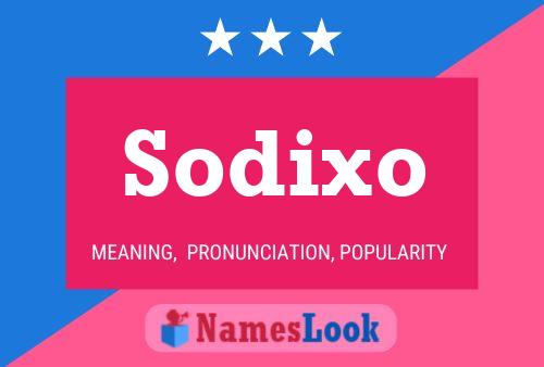 Постер имени Sodixo