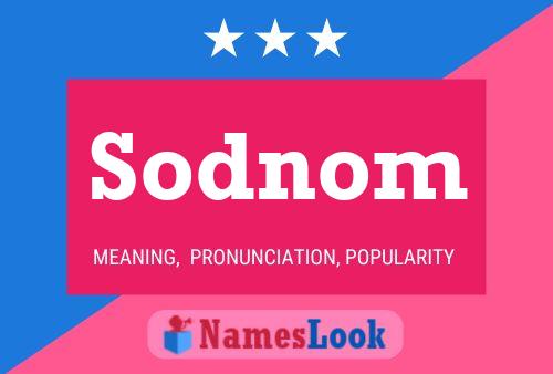 Постер имени Sodnom