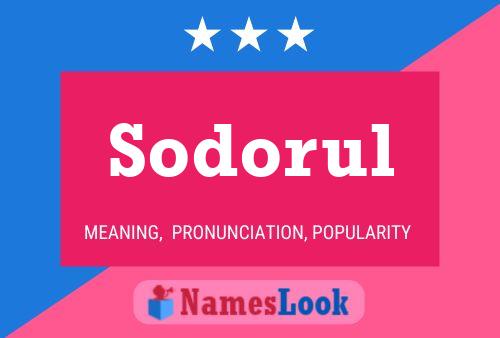 Постер имени Sodorul