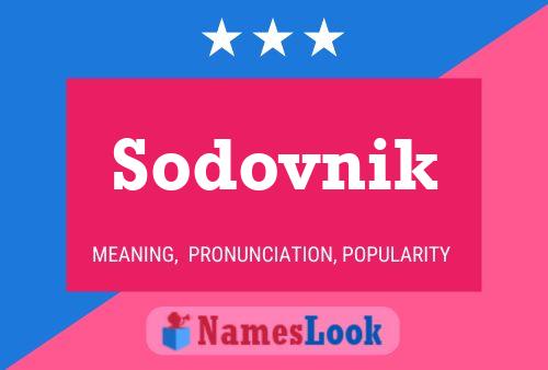 Постер имени Sodovnik