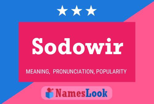 Постер имени Sodowir