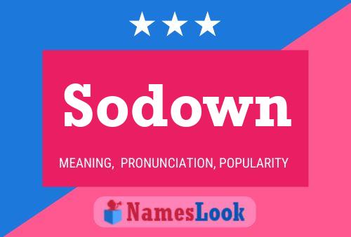 Постер имени Sodown