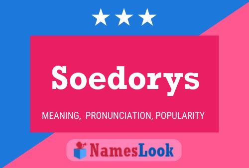 Постер имени Soedorys