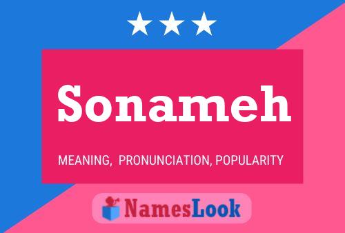 Постер имени Sonameh