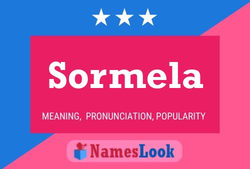 Постер имени Sormela