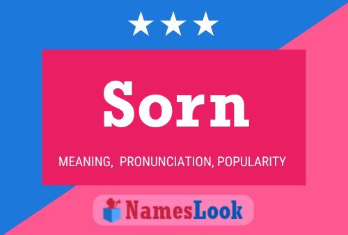 Постер имени Sorn