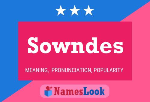 Постер имени Sowndes