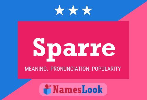 Постер имени Sparre