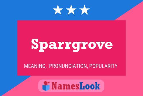 Постер имени Sparrgrove