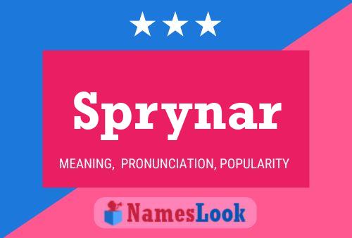 Постер имени Sprynar