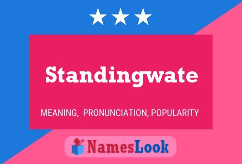 Постер имени Standingwate