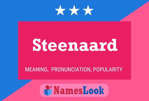 Постер имени Steenaard