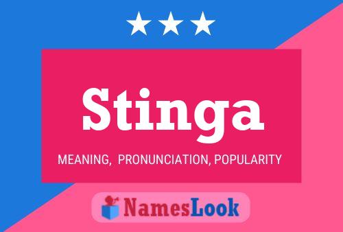 Постер имени Stinga