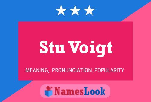 Постер имени Stu Voigt