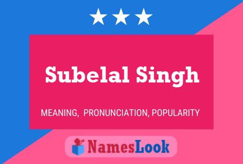 Постер имени Subelal Singh