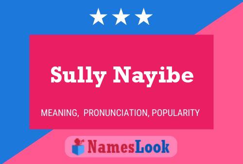 Постер имени Sully Nayibe