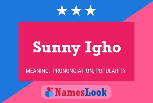 Постер имени Sunny Igho