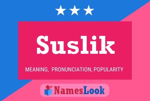 Постер имени Suslik