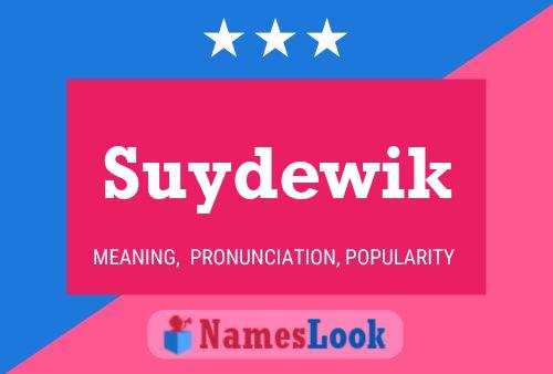 Постер имени Suydewik