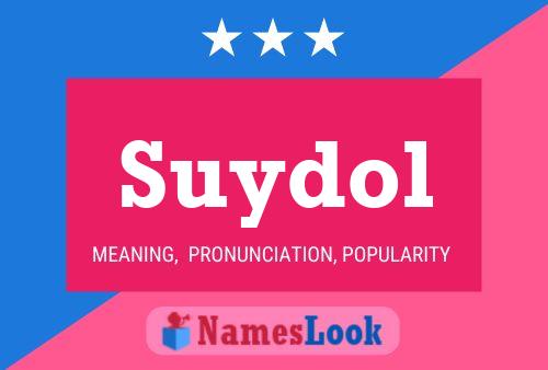 Постер имени Suydol