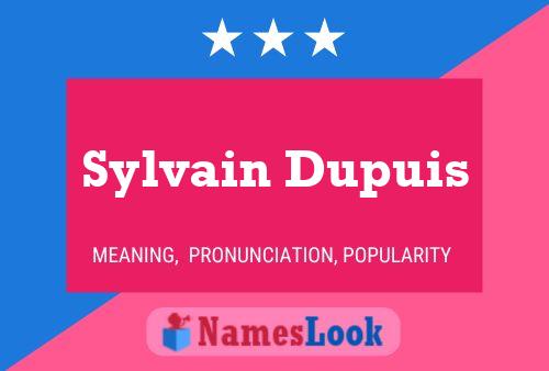 Постер имени Sylvain Dupuis