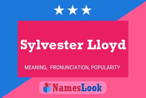 Постер имени Sylvester Lloyd