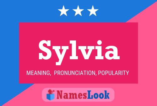 Постер имени Sylvia