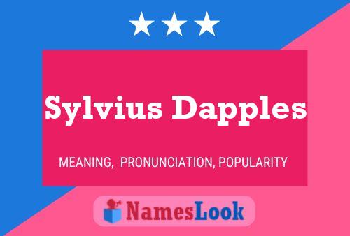 Постер имени Sylvius Dapples