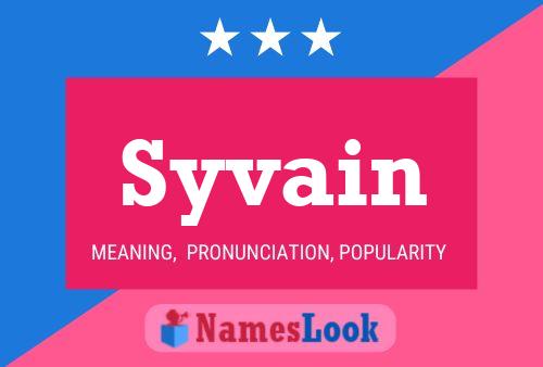 Постер имени Syvain