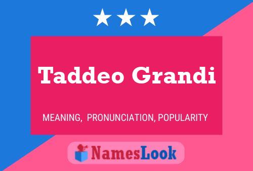 Постер имени Taddeo Grandi