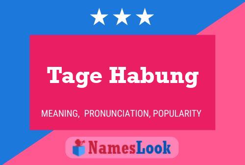 Постер имени Tage Habung