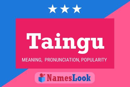 Постер имени Taingu