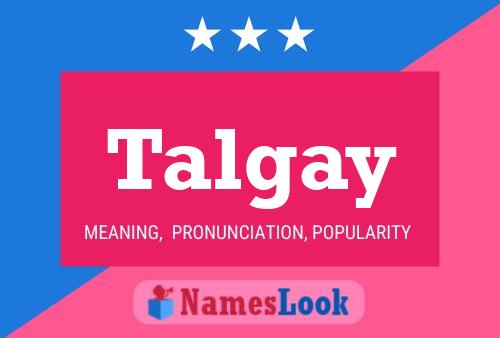 Постер имени Talgay