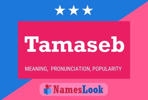 Постер имени Tamaseb